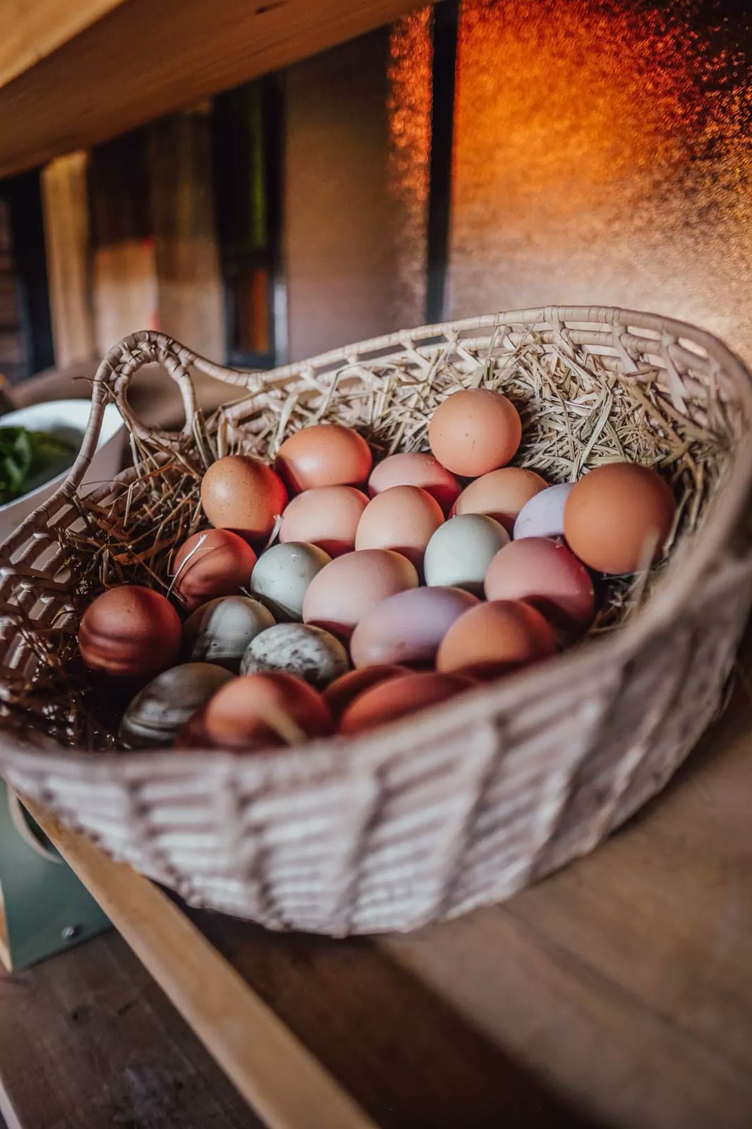 Huevos de las gallinas de la granja